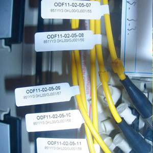 1589445763213874.jpg 應(yīng)用圖片.jpg